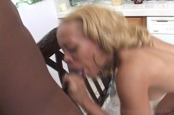 'Wadd Squad 4' screenshot nº 23