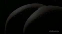 Captura de 'Perfect Pussy, The' nº 110