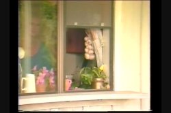 'Christy Canyon Triple Feature 4' screenshot nº 52