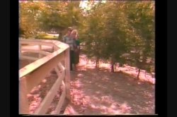 'Christy Canyon Triple Feature 4' screenshot nº 79