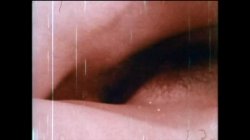 'Spread For Action' screenshot nº 39