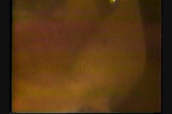 'Taboo 92' screenshot nº 126
