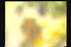 'Taboo 92' screenshot nº 44