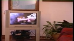 'Priscilla La Perla Del Mediterraneo' screenshot nº 65