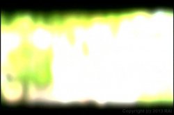 'Cherry Lickers 2' screenshot nº 59