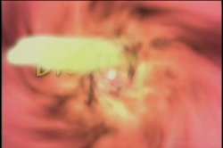 'Cherry Lickers 2' screenshot nº 113