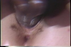 Captura de 'Golden Age Of Bi Porn Vol. 1, The' nº 71