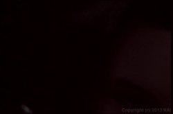 Captura de 'Girls Home Alone 14' nº 21