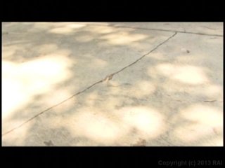Mo Bigger Mo Beautiful 2 - Scene3 - 6