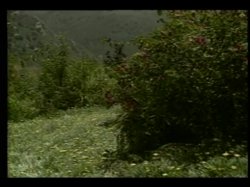 'Beat the Heat (Vivid)' screenshot nº 126