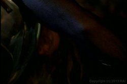 Captura de 'X Girls' nº 127