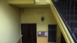 Captura de 'Assemblea Condominiale con Maiale' nº 2