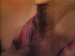 'Sharon's Wild Classics' screenshot nº 97