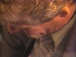 'Sharon's Wild Classics' screenshot nº 99
