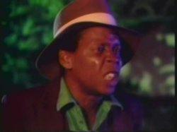 'Sharon's Wild Classics' screenshot nº 16