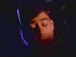 'Sharon's Wild Classics' screenshot nº 20