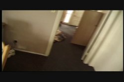 'Only the Best of Seymore Butts 7' screenshot nº 58