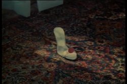 'Annette Haven Screws The Stars' screenshot nº 40