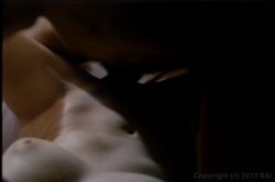'Annette Haven Screws The Stars' screenshot nº 70