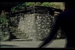 'Annette Haven Screws The Stars' screenshot nº 96