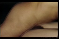 'Annette Haven Screws The Stars' screenshot nº 114