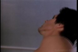 'Annette Haven Screws The Stars' screenshot nº 15