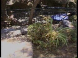 'Black Knockers 26' screenshot nº 104