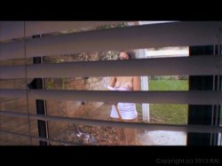 'Bonin' In The Backyard' screenshot nº 35