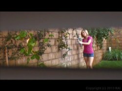 'Bonin' In The Backyard' screenshot nº 99