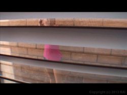 'Bonin' In The Backyard' screenshot nº 102
