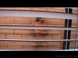 'Bonin' In The Backyard' screenshot nº 11