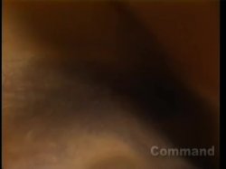 'Cecil Howard's The Last X-Rated Movie 4' screenshot nº 108
