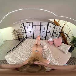 'Flexible' screenshot nº 30