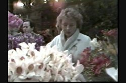 'French Butler' screenshot nº 23