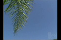 Captura de 'Hook-Ups 3' nº 96