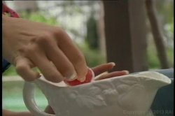 Captura de 'Intimate Journey' nº 4