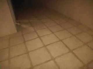Thick Chicks Love Thick Dicks - Scene4 - 6