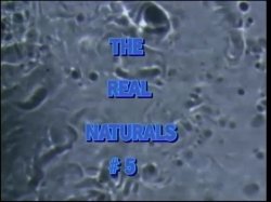 Captura de 'Real Naturals 5' nº 1