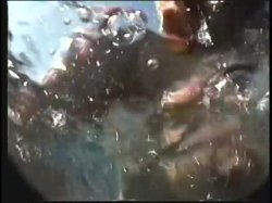 'Busty Aqua Brats' screenshot nº 5