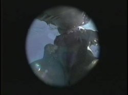 'Busty Aqua Brats' screenshot nº 10