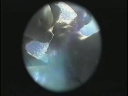 'Busty Aqua Brats' screenshot nº 12