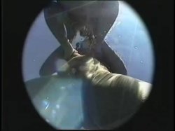 'Busty Aqua Brats' screenshot nº 13