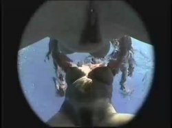 'Busty Aqua Brats' screenshot nº 15
