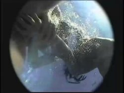 'Busty Aqua Brats' screenshot nº 16