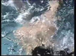 'Busty Aqua Brats' screenshot nº 17
