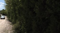 'Anal Carwash' screenshot nº 2
