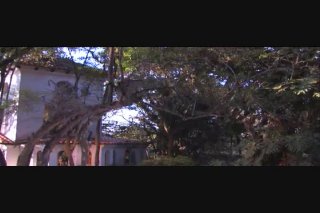 It&#39;s Sunny In Brazil - Scene3 - 6