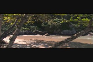 It&#39;s Sunny In Brazil - Scene5 - 1