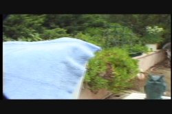 'Latin Fever 7' screenshot nº 51