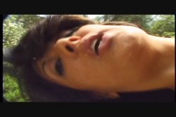'Latin Fever 7' screenshot nº 62
